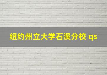 纽约州立大学石溪分校 qs